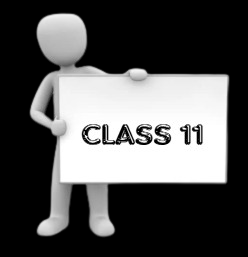 Class 11